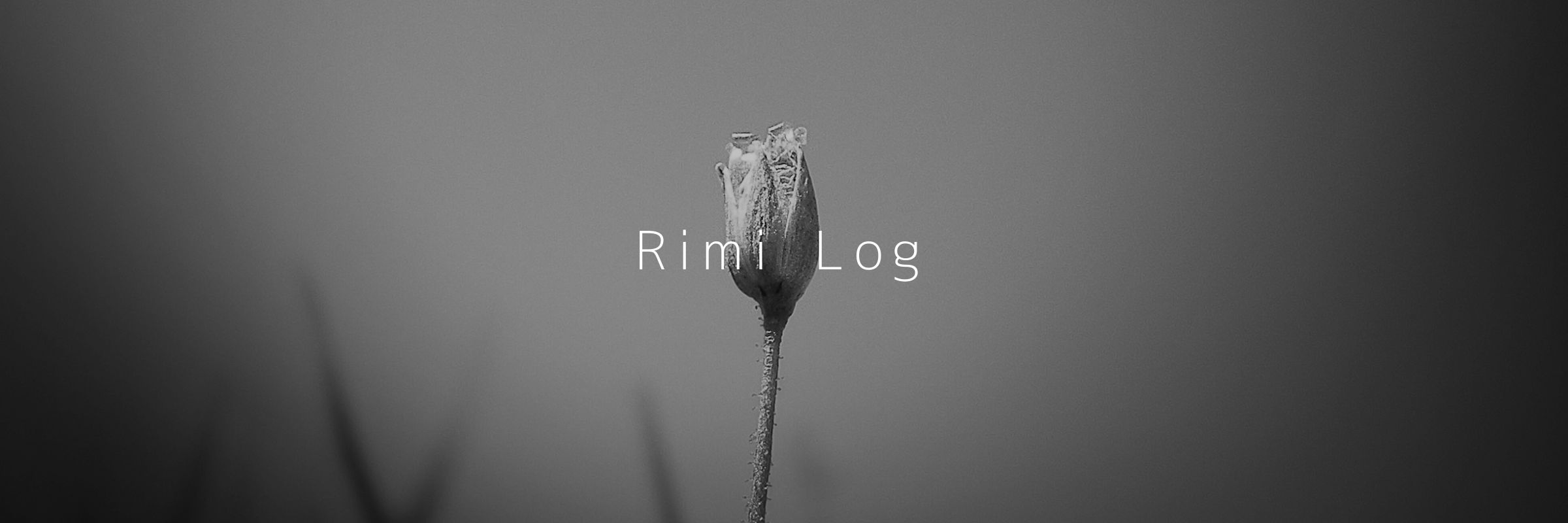 RimiLog